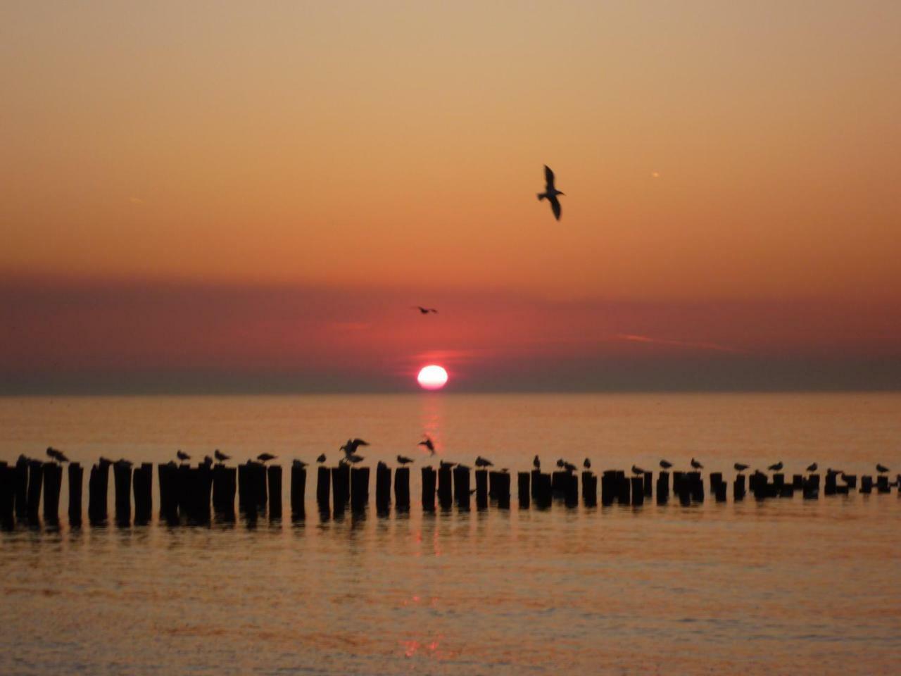Vakantiewoning Dichtbij Centrum Domburg Do13 Екстер'єр фото